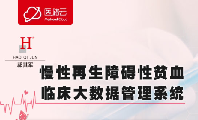 慢性再生障碍性贫血临床大数据管理系统